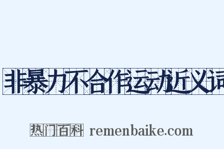 非暴力不合作运动近义词是什么意思的图片